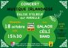 Concert irlandais Concert irlandais